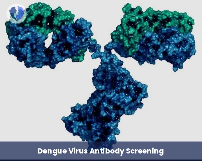 Dengue Virus IgM Antibody Test